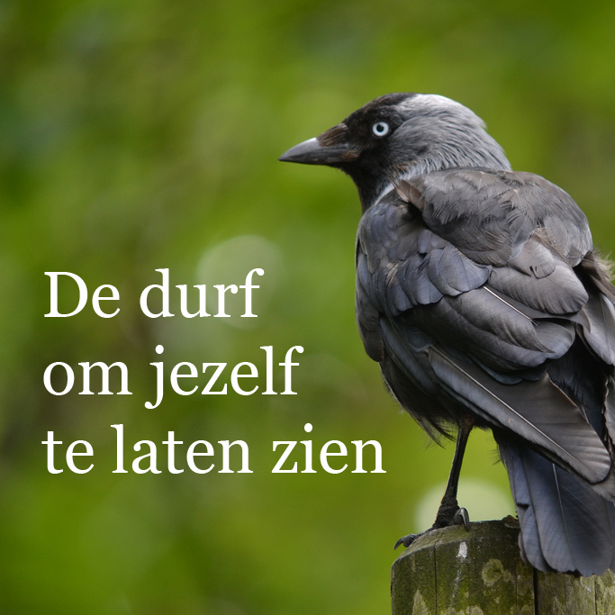 Vork Communicatie - De Durf Om Jezelf Te Laten Zien